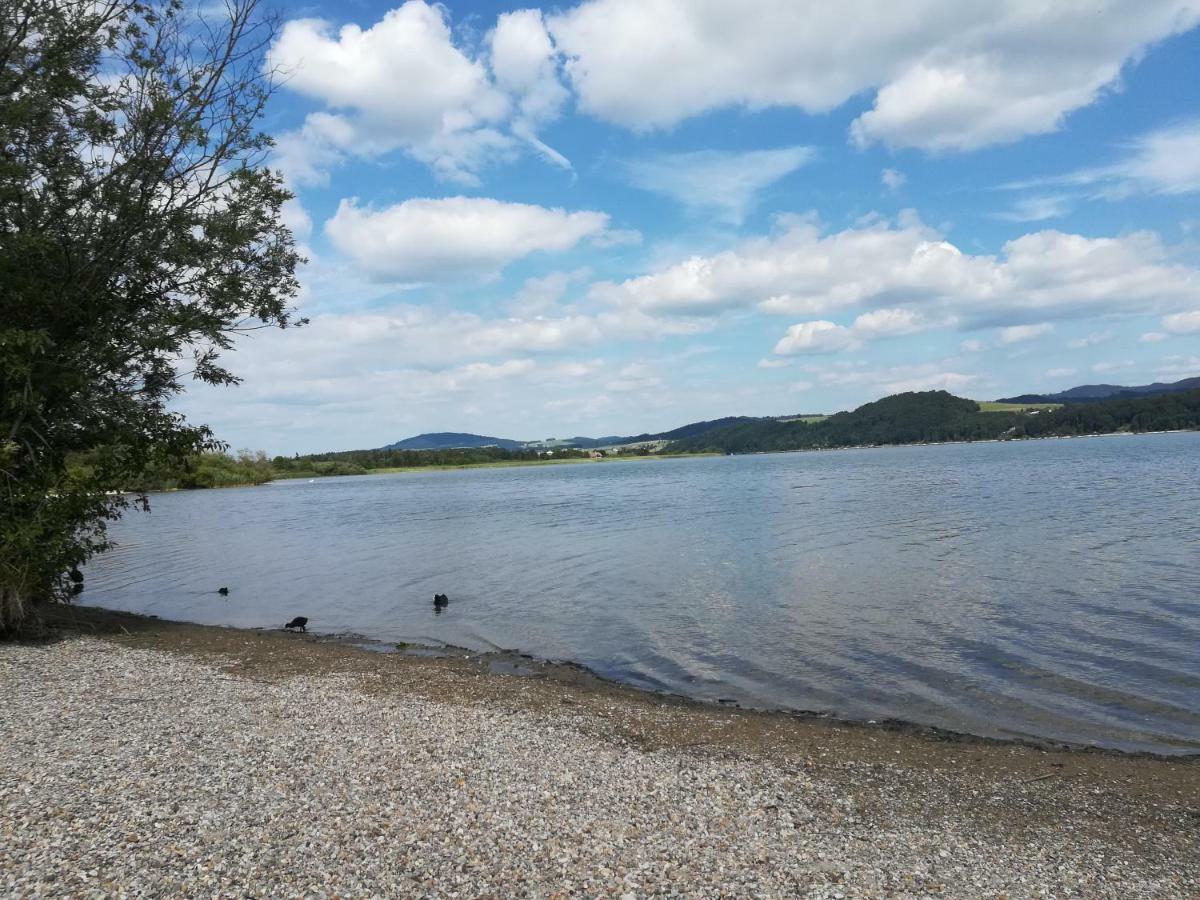 Am See 90 Seekirchen am Wallersee Exteriör bild